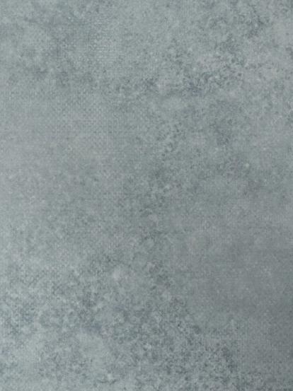 Изображение Линолеум Forbo Emerald Standart 72403 