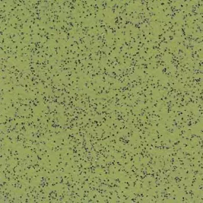 Изображение Линолеум Gerflor 6553 Fern 