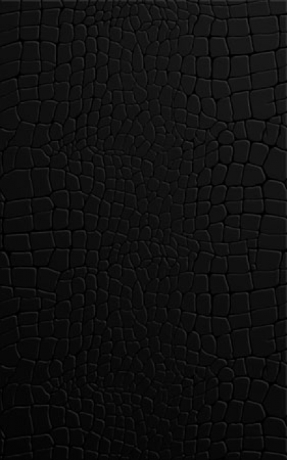 Изображение Керамическая плитка Golden Tile Стена Кайман черный 
