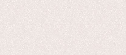 Изображение Мебель Столешницы Столешница FS040 S1/1 Баскунчак 3000*600*38 мм 1 завал матовая 