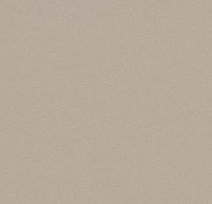 Изображение Линолеум Forbo Sarlon 19dB 0863T4319 beige grey uni 
