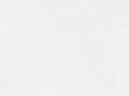 Изображение Стеновые панели ПВХ Лопез белый 