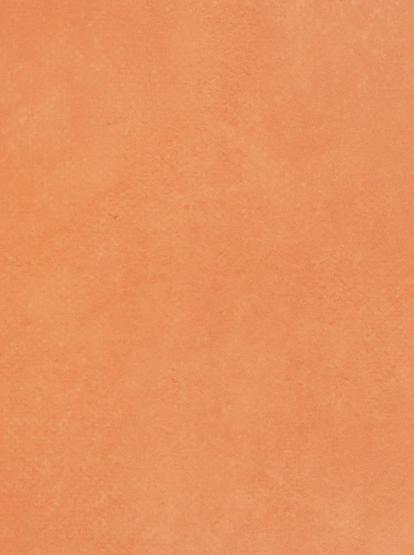 Изображение Линолеум Forbo Emerald Standart 72404 