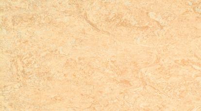 Изображение Линолеум Мармолеум 0040 Light Sahara 