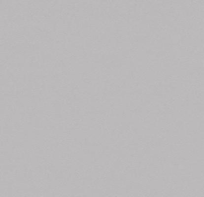 Изображение Линолеум Forbo Sarlon 19dB 0861T4319 light grey uni 