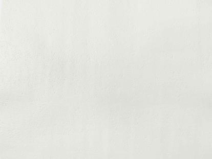 Изображение Обои Elysium Elysium Эвкалипт 908600 