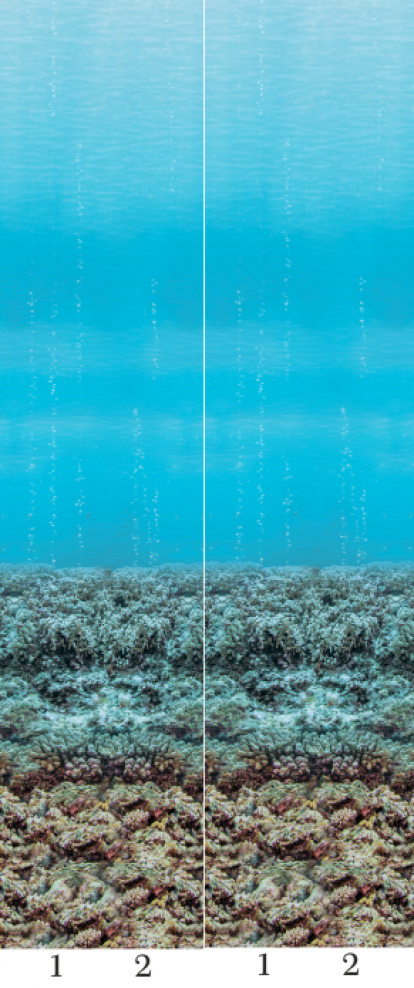 Изображение Стеновые панели ПВХ Подводный мир 01110 фон 