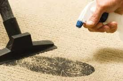 Изображение Паркетные работы Химчистка ковровых покрытий 
