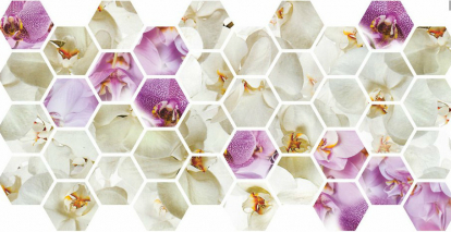 Изображение Стеновые панели Листовые Граненый шестигранник Орхидеи 