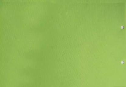 Изображение Товары для дома Домашний текстиль Рулонные шторы Плайн Салатовый 7561 