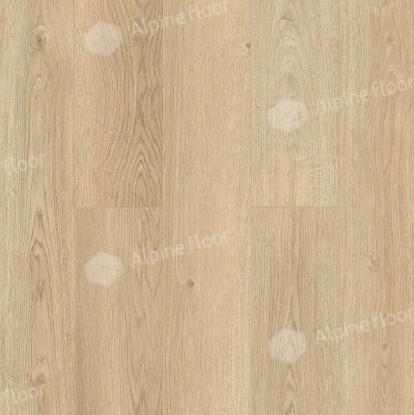 Изображение Ламинат Alpine Floor Дуб Сан-Себастьян LF120-07 