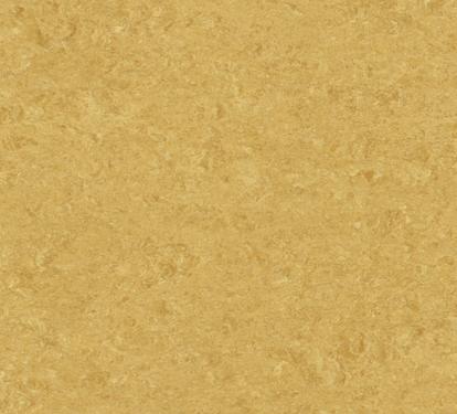 Изображение Линолеум Мармолеум 0072 Golden Yellow 