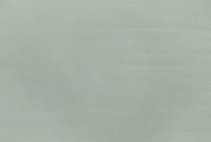 Изображение Обои Elysium Elysium Фокс Е203730 фон 