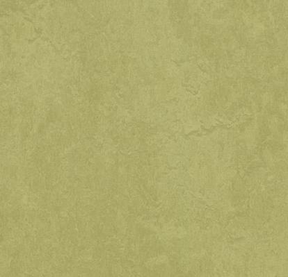 Изображение Линолеум Мармолеум Fresco 2,5 3265 avocado 