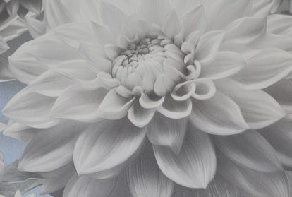 Изображение Обои Elysium Elysium Лулу 909702 