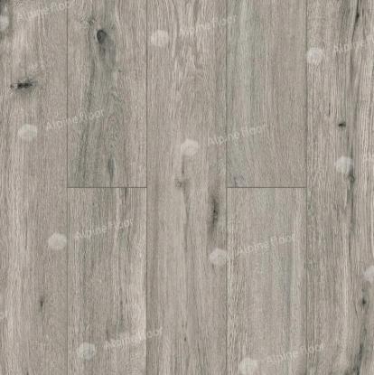 Изображение Ламинат Alpine Floor Дуб Палермо LF100-10 