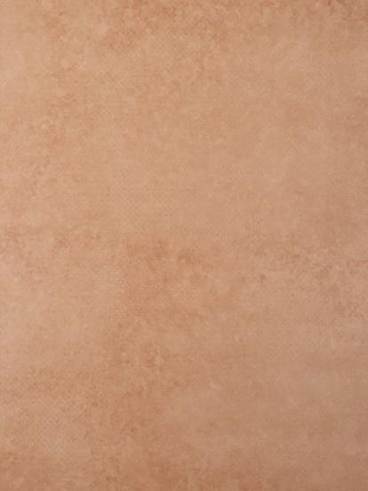 Изображение Линолеум Forbo Emerald Standart 72405 