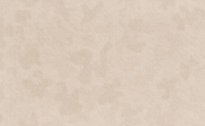 Изображение Обои Zambaiti Parati Meteora R24123 