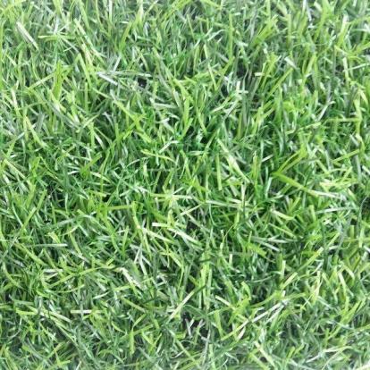 Изображение Ковролин Искусственная трава Искусственная трава Green Eco 50 