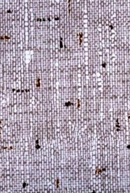 Изображение Самоклеющаяся пленка Axelfix 3952 Лен 