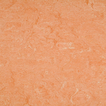 Изображение Линолеум Мармолеум 125-075 light aurora 