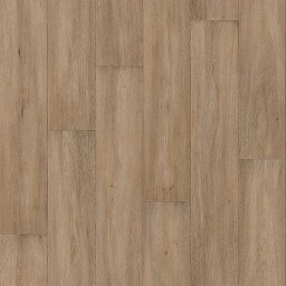 Изображение Линолеум Tarkett Appollo 2 