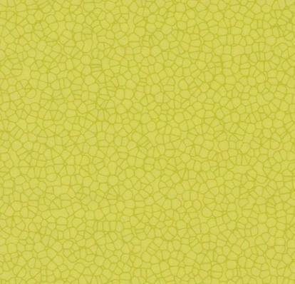 Изображение Линолеум Forbo Sarlon 15dB 90758T4315 citrus halo contour 