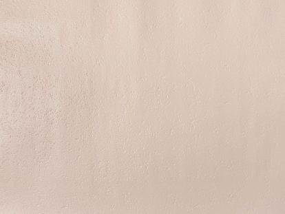 Изображение Обои Elysium Elysium Эвкалипт 908605 