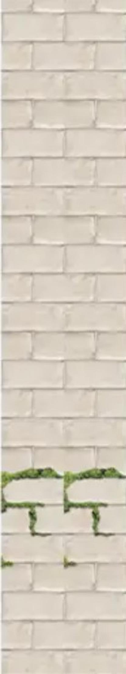 Изображение Стеновые панели ПВХ Роген хольц фон 