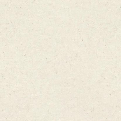 Изображение Обои Rasch Wall Textures 974201 