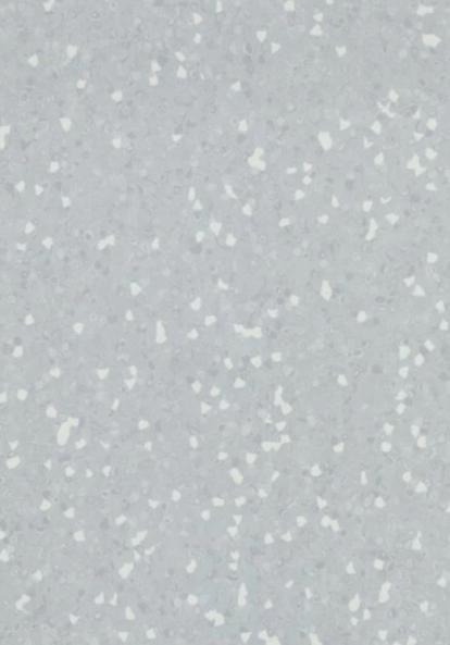 Изображение Линолеум Forbo Sphera SD 550008 silver grey 