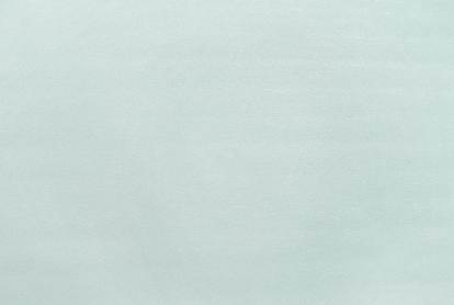 Изображение Обои Elysium Elysium Фокс Е203729 фон 