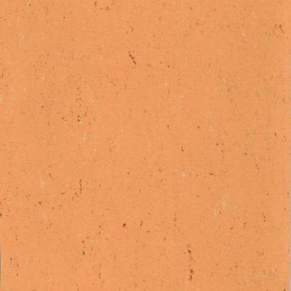 Изображение Линолеум Мармолеум 137-078 african orange 