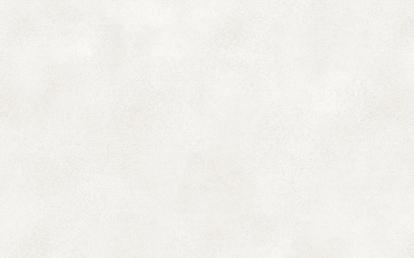 Изображение Мебель Столешницы Столешница FS042 B2/1 Ягель 3000*600*38 мм 1 завал матовая 