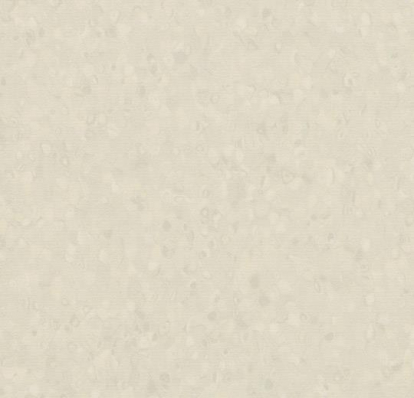 Изображение Линолеум Forbo Sphera Element 50051 