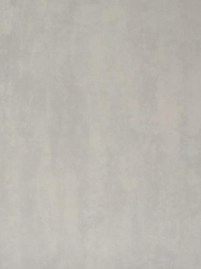 Изображение Линолеум Forbo Emerald Standart 72417 