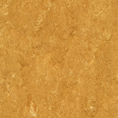 Изображение Линолеум Мармолеум 125-170 amber yellow 