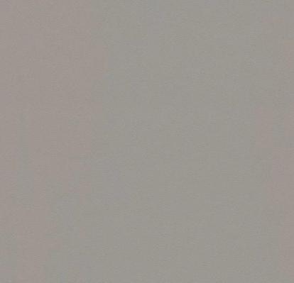 Изображение Линолеум Forbo Sarlon 19dB 0862T4319 stone grey uni 