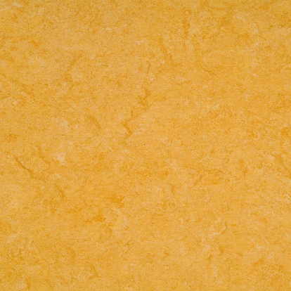Изображение Линолеум Мармолеум 125-072 golden yellow 
