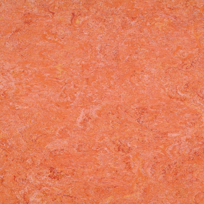 Изображение Линолеум Мармолеум 125-019 sunset orange 