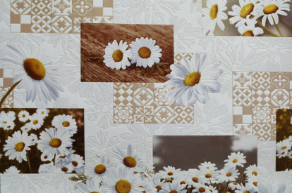 Изображение Обои Elysium Elysium Ромашки 901305 