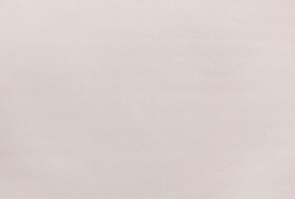 Изображение Обои Elysium Elysium Фокс Е203721 фон 