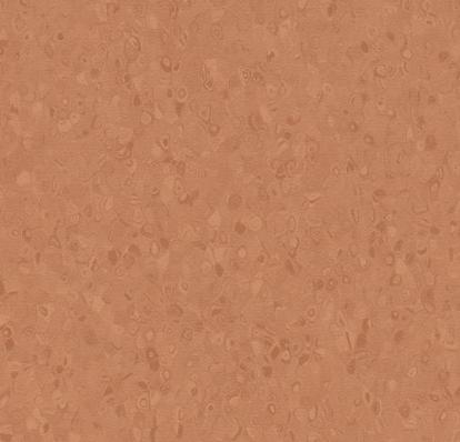 Изображение Линолеум Forbo Sphera Element 50060 