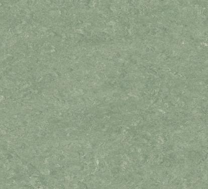 Изображение Линолеум Мармолеум 0043 Leaf Green 