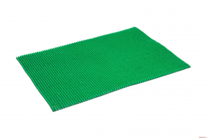 Изображение Грязезащитные покрытия Щетинистые покрытия Щетинистый коврик Стандарт 163 Зеленый 