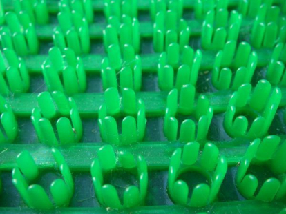 Изображение Грязезащитные покрытия Щетинистые покрытия Зеленый 