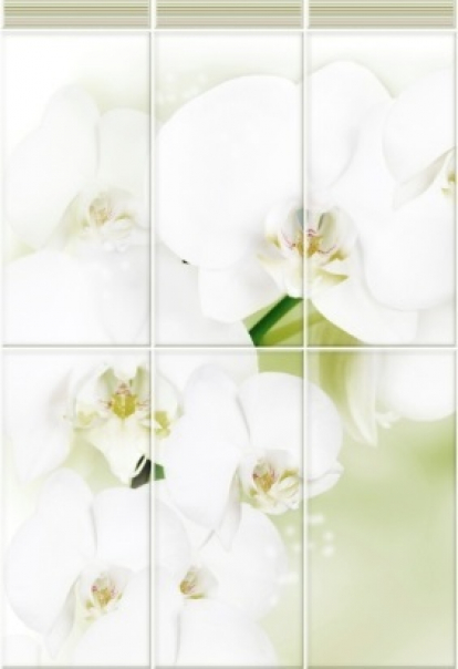 Изображение Стеновые панели ПВХ Белая орхидея узор 