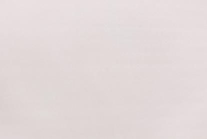 Изображение Обои Elysium Elysium Фокс Е203728 фон 