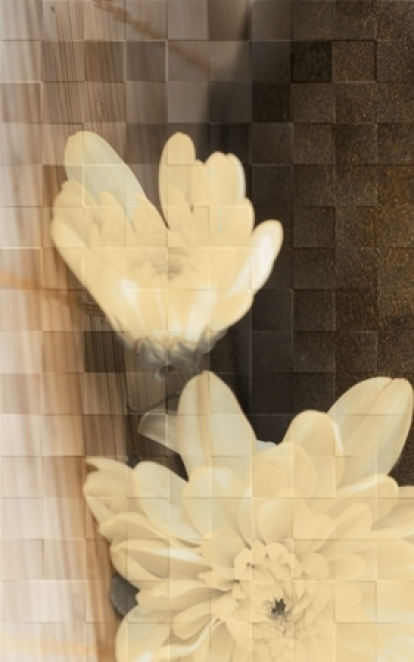 Изображение Керамическая плитка Golden Tile Декор Bali 411421 