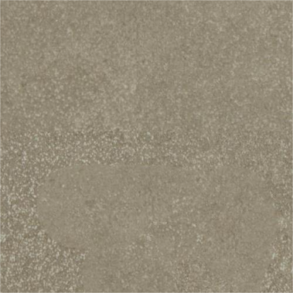 Изображение Линолеум Forbo Surestep Stone 17352 Taupe Speckled 